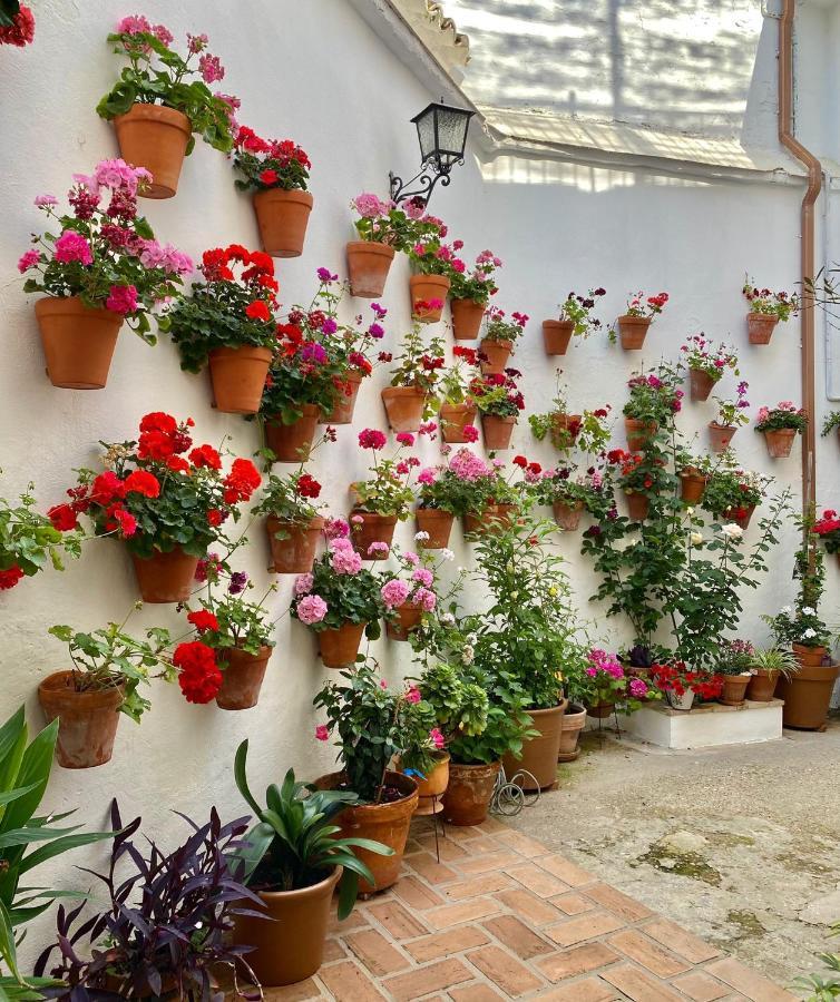 Amal Casa De Huespedes Apartment Кордоба Екстериор снимка